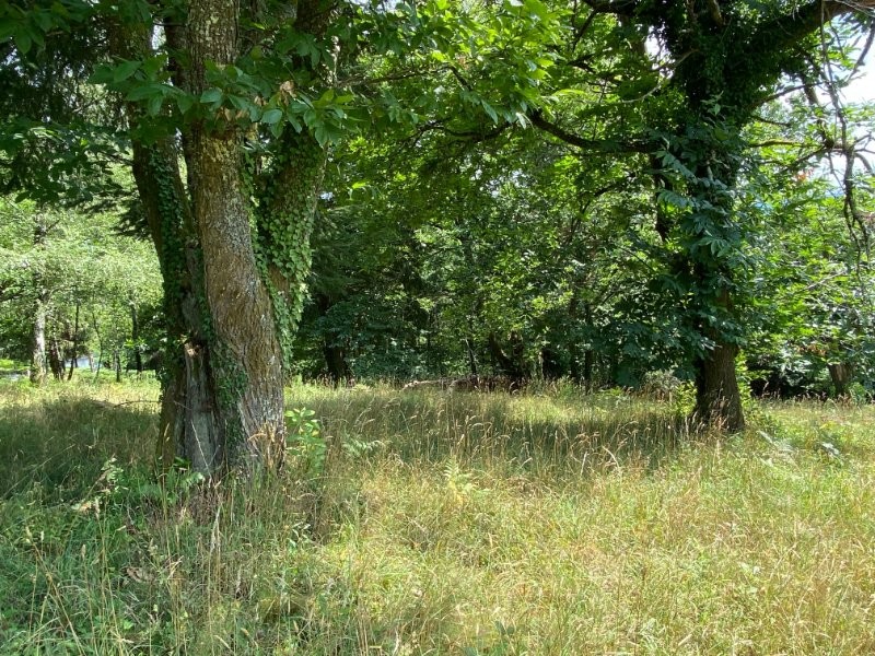 Vente Terrain à Tulle 0 pièce