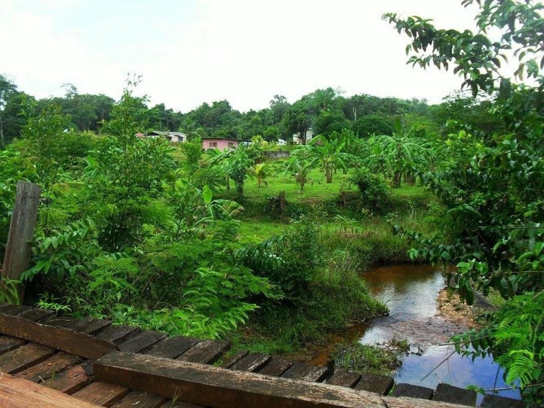 Vente Terrain à Roura 0 pièce