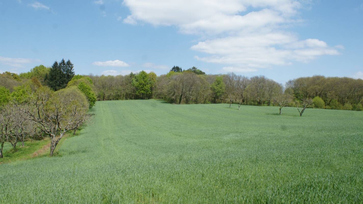 Vente Terrain à Beynat 0 pièce