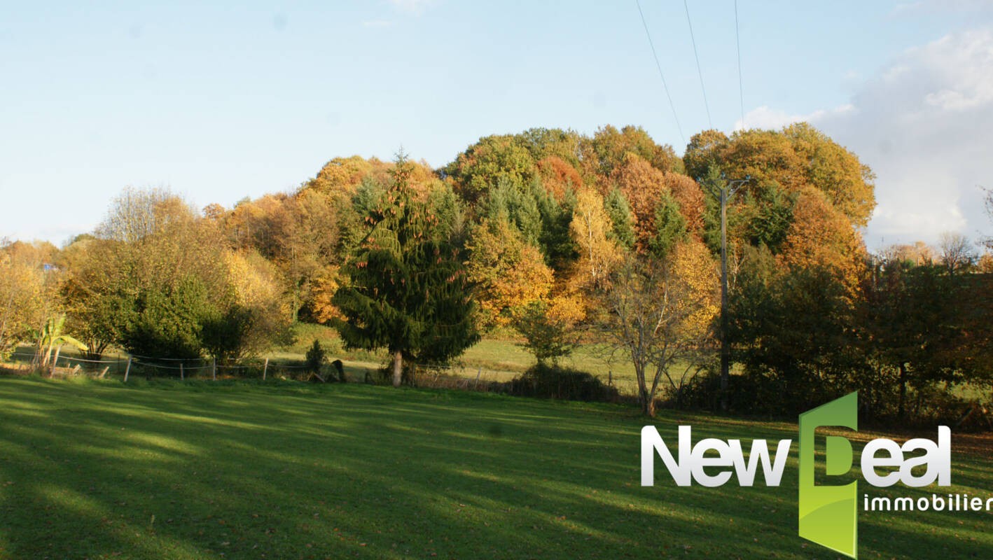 Vente Terrain à Sadroc 0 pièce