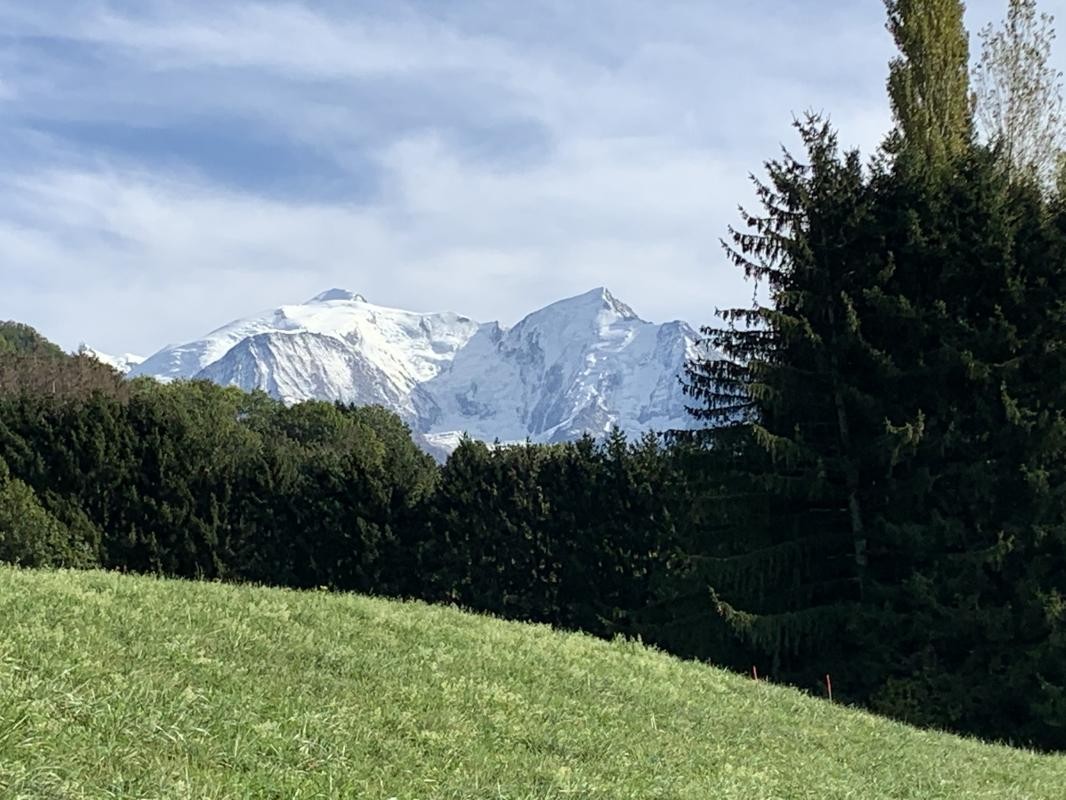 Vente Terrain à Sallanches 0 pièce