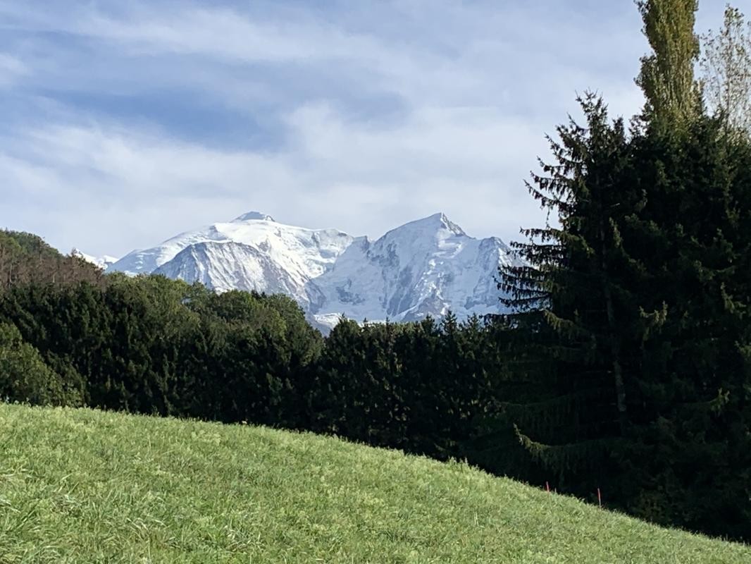 Vente Terrain à Sallanches 0 pièce