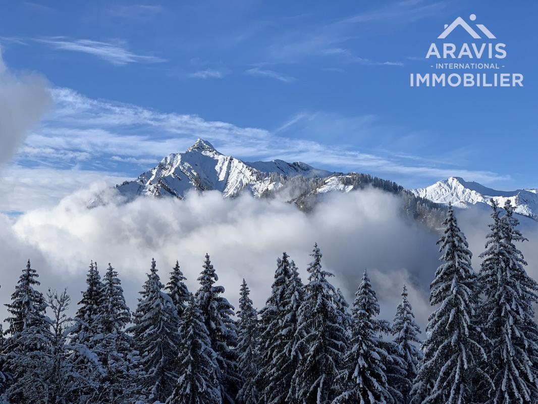 Vente Maison à Samoëns 8 pièces