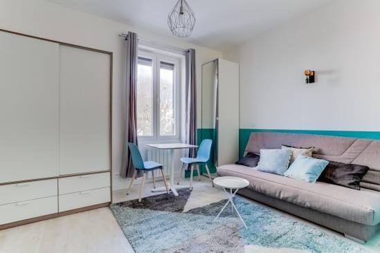 Location Appartement à Lyon 2e arrondissement 1 pièce