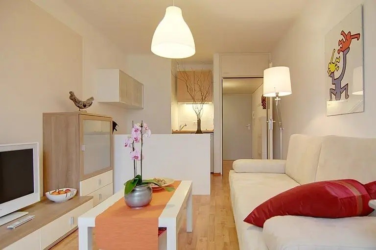 Location Appartement à Lille 1 pièce