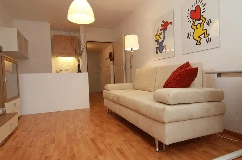 Location Appartement à Lille 1 pièce