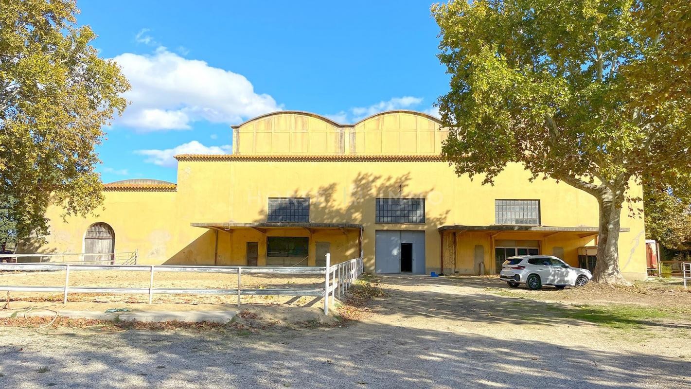 Vente Maison à Arles 10 pièces