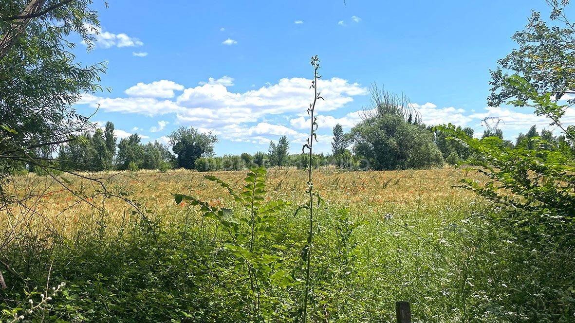 Vente Maison à Nîmes 6 pièces