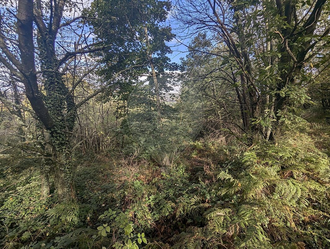 Vente Terrain à Saint-Étienne 0 pièce