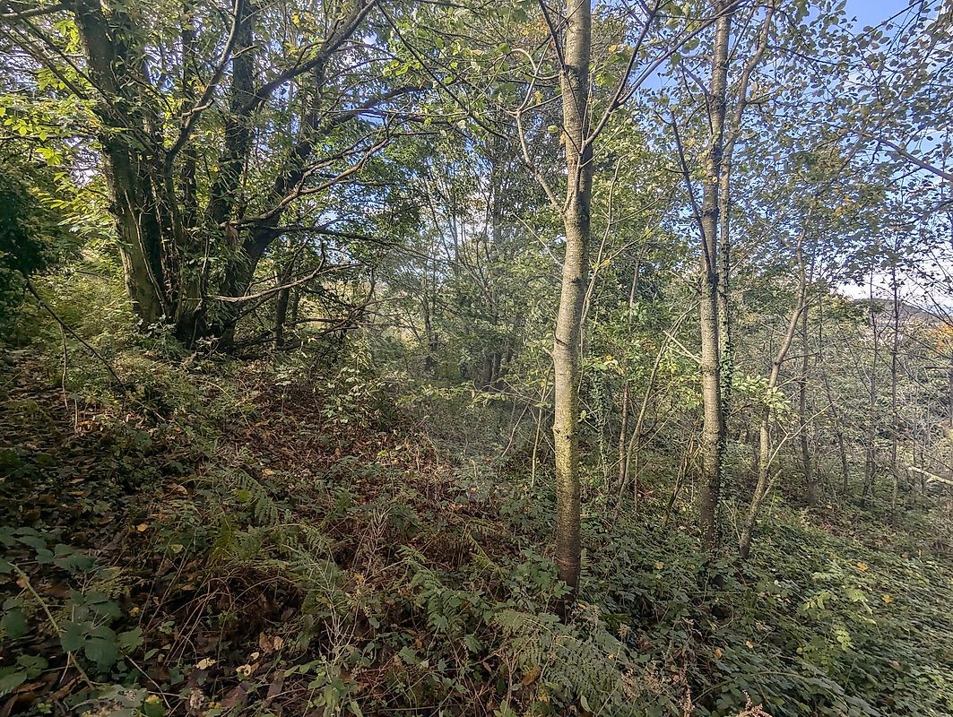 Vente Terrain à Saint-Étienne 0 pièce