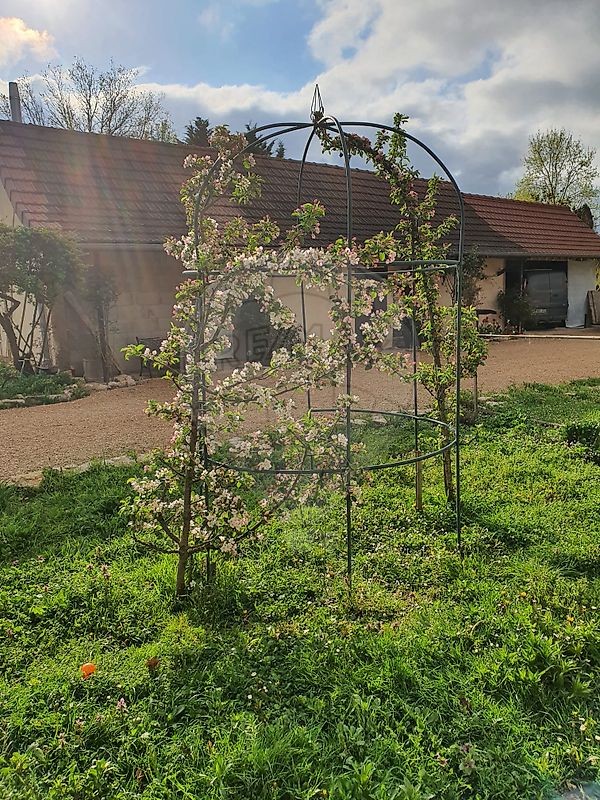 Vente Maison à l'Abergement-Sainte-Colombe 5 pièces