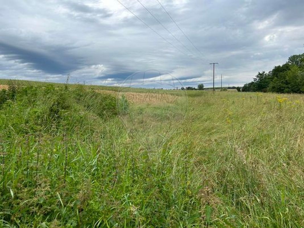 Vente Terrain à Hennecourt 0 pièce