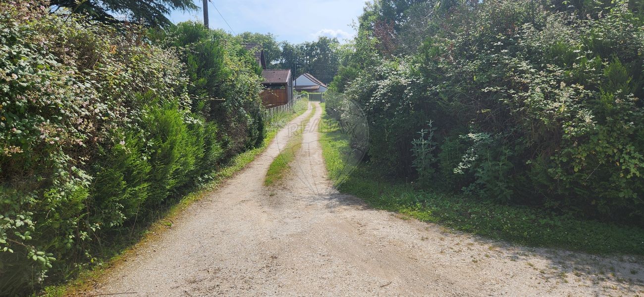 Vente Maison à Cosne-Cours-sur-Loire 8 pièces