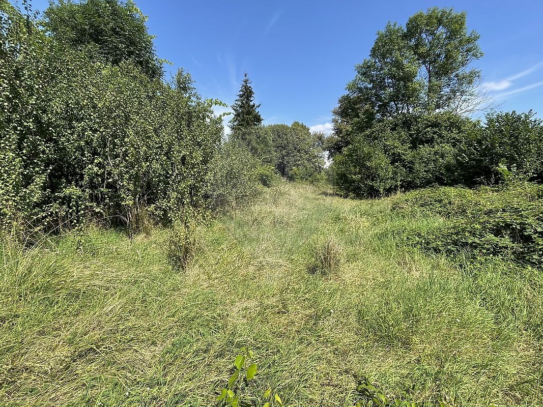 Vente Maison à Fleury-sur-Loire 3 pièces