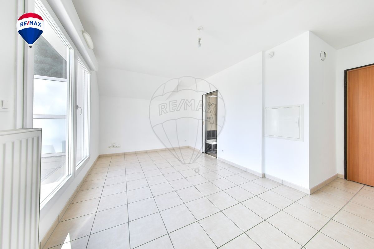 Vente Appartement à Sierentz 1 pièce