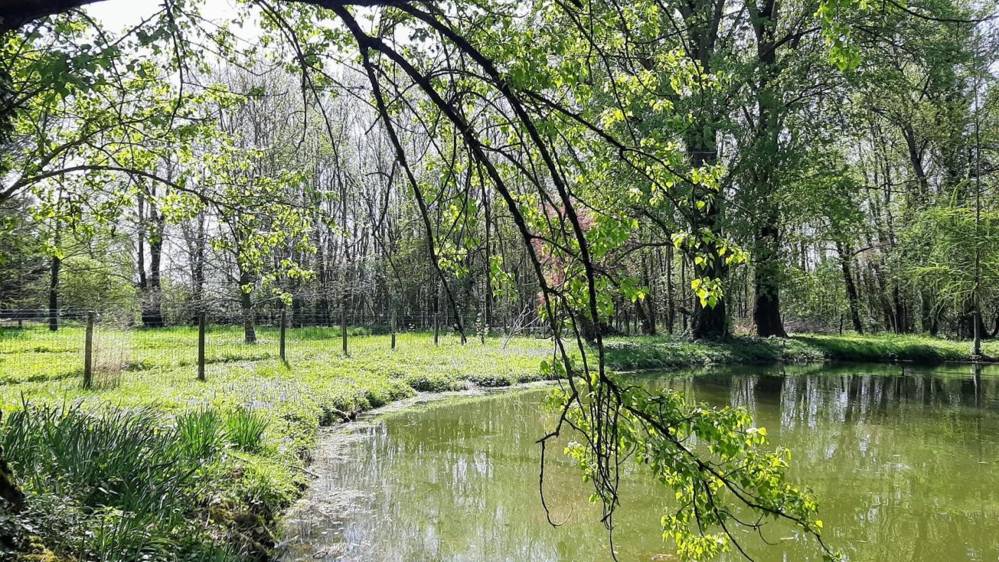 Vente Maison à Gaillac 11 pièces