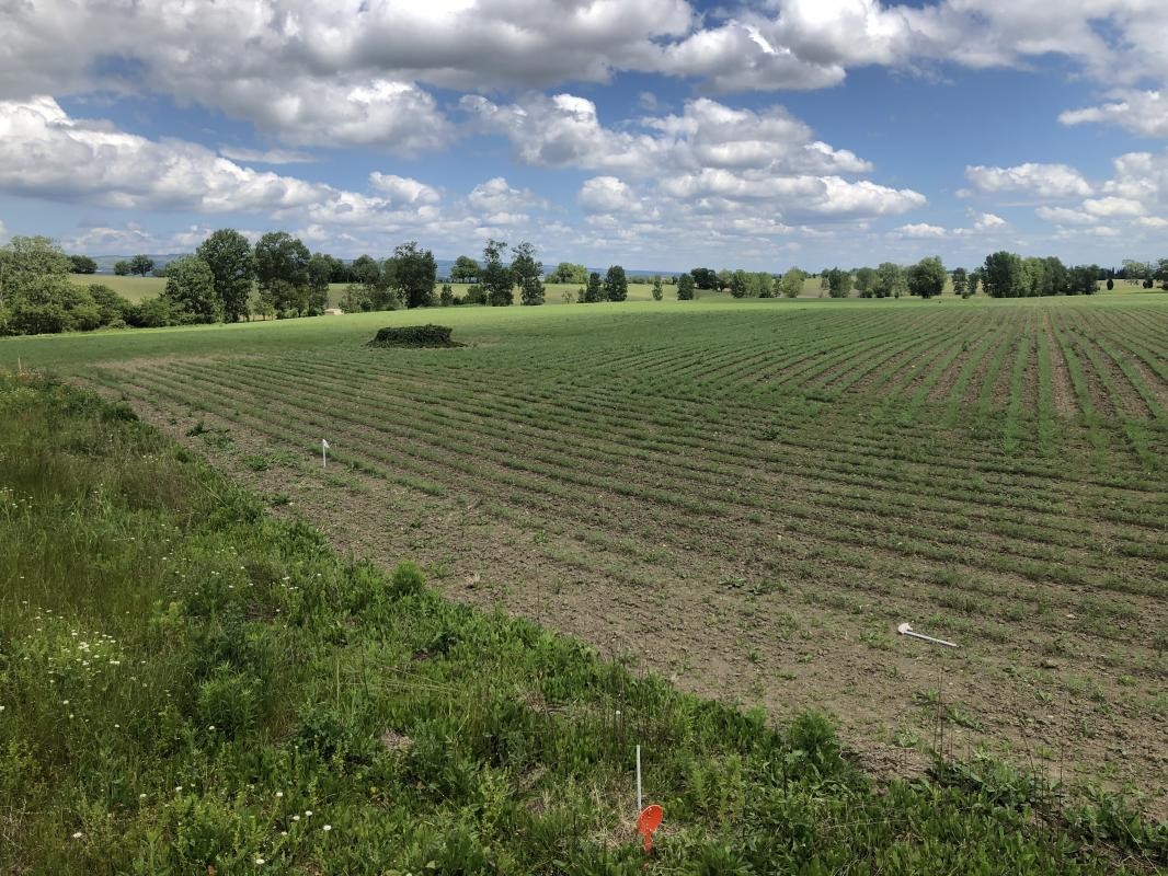 Vente Terrain à Castelnaudary 0 pièce