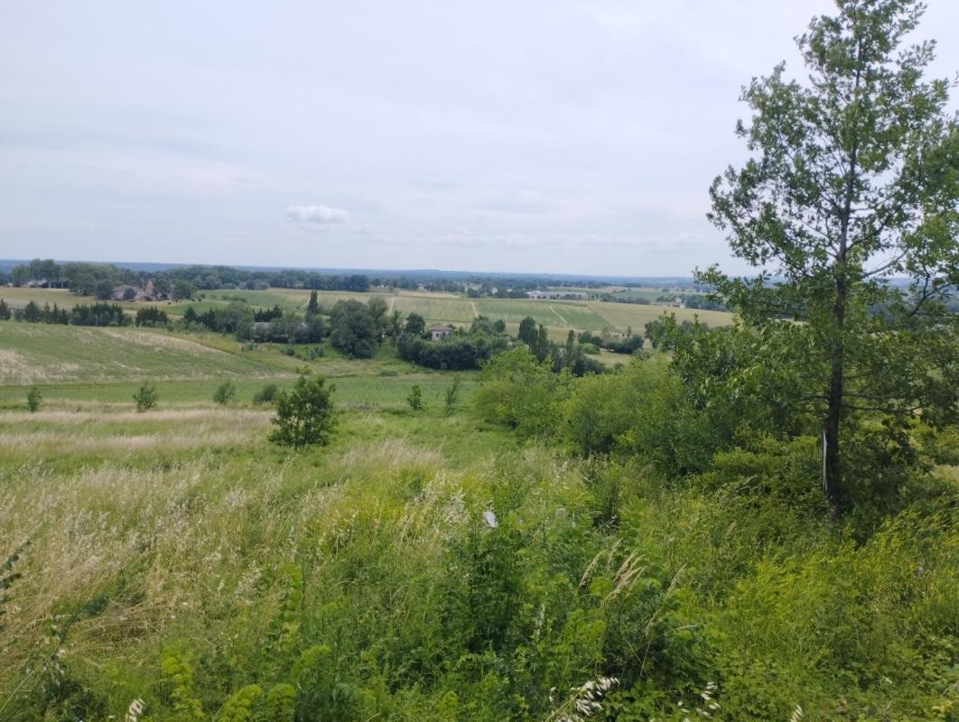 Vente Terrain à Puylaroque 0 pièce