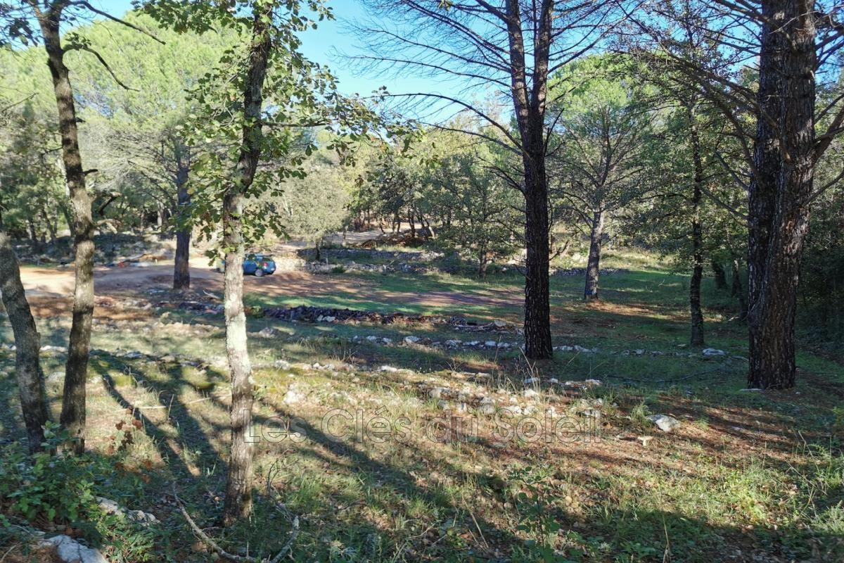 Vente Terrain à Camps-la-Source 0 pièce