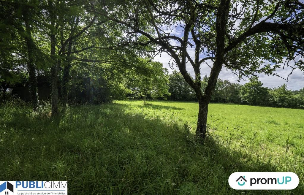 Vente Terrain à Saint-Junien 0 pièce