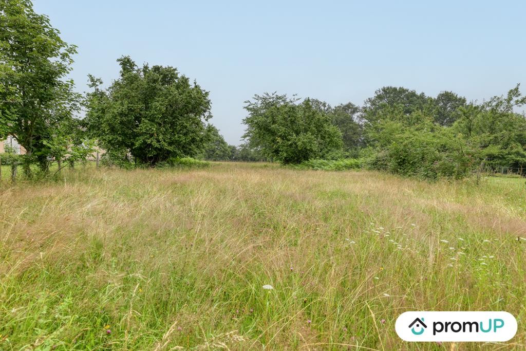 Vente Terrain à Oradour-sur-Vayres 0 pièce