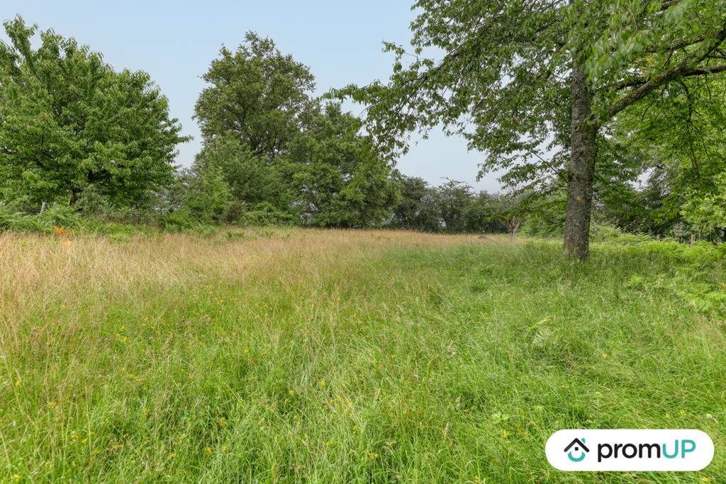 Vente Terrain à Oradour-sur-Vayres 0 pièce