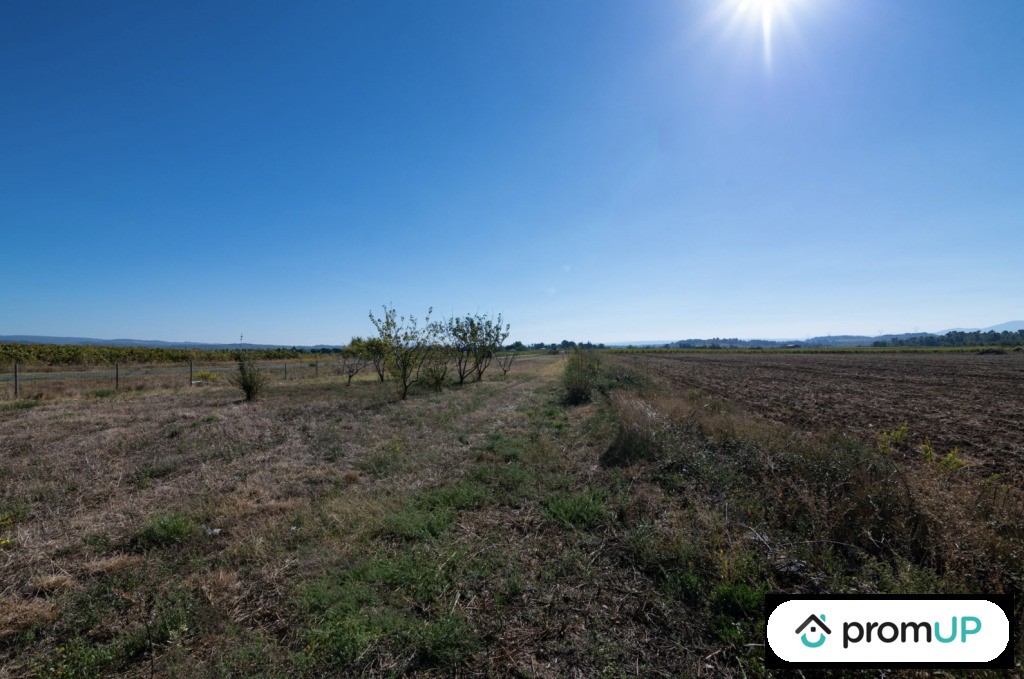 Vente Terrain à Caunes-Minervois 0 pièce