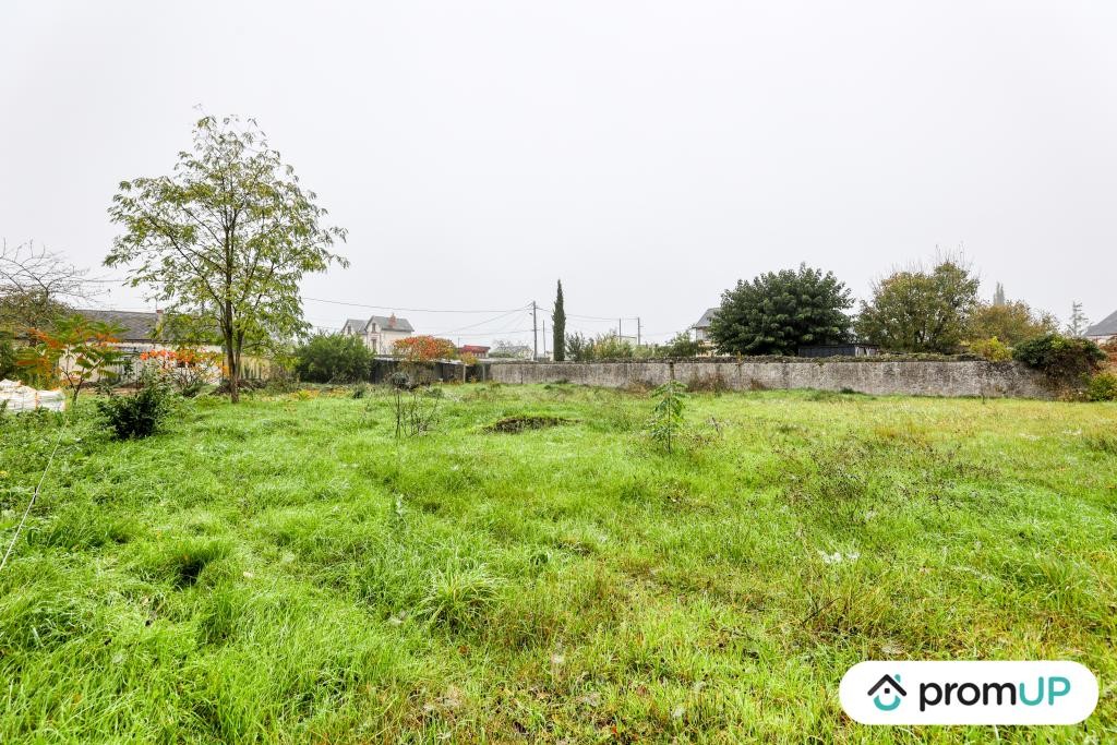 Vente Terrain à Chinon 0 pièce