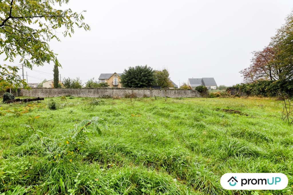 Vente Terrain à Chinon 0 pièce