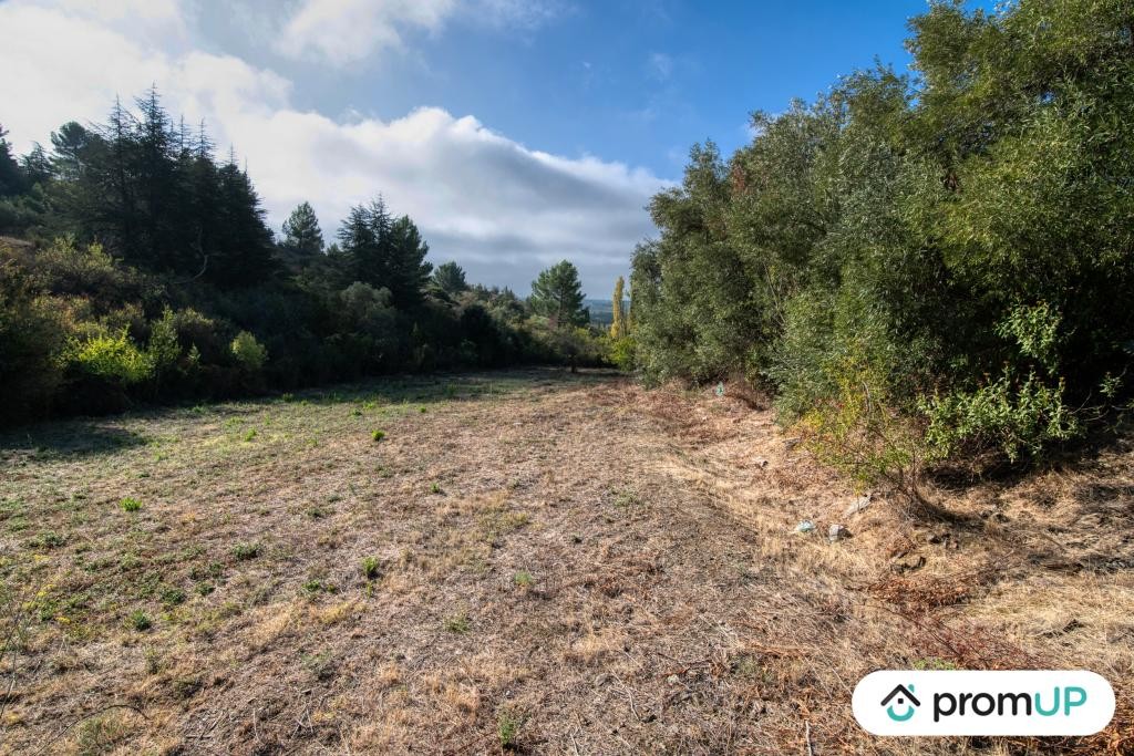 Vente Terrain à Caunes-Minervois 0 pièce