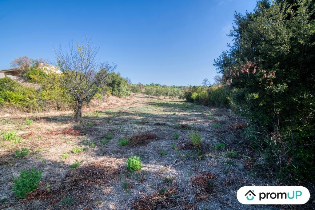 Vente Terrain à Caunes-Minervois 0 pièce