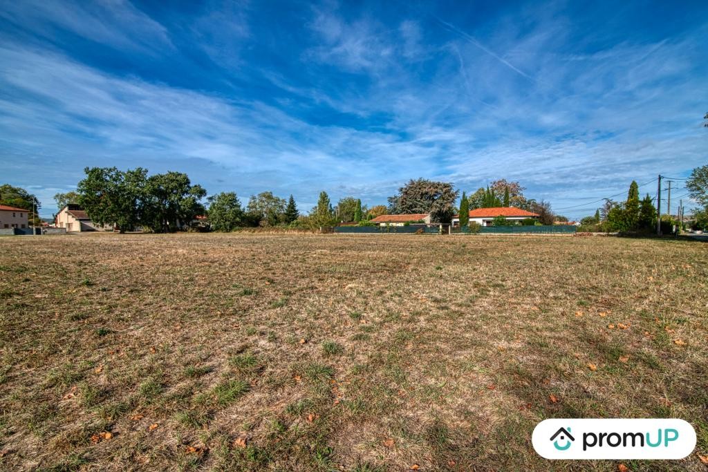 Vente Terrain à Cintegabelle 0 pièce