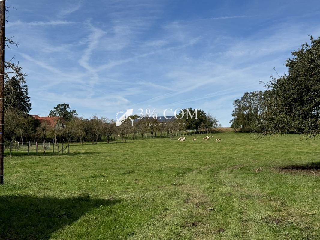 Vente Terrain à Wickersheim-Wilshausen 0 pièce