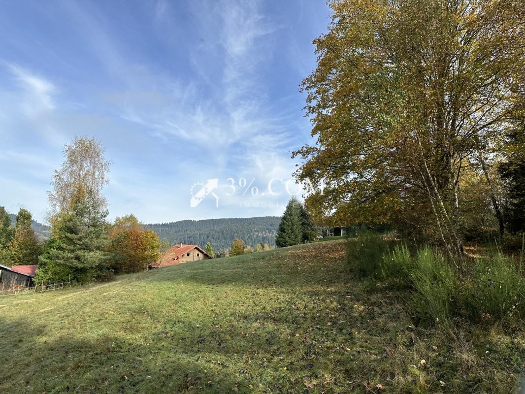 Vente Terrain à Gérardmer 0 pièce