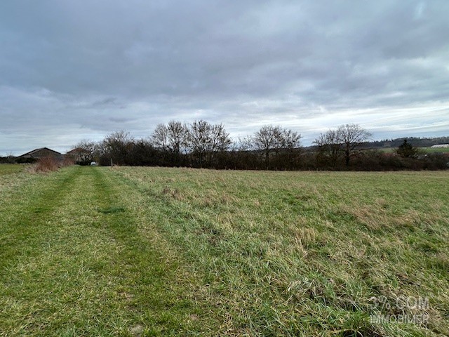 Vente Terrain à Lunéville 0 pièce