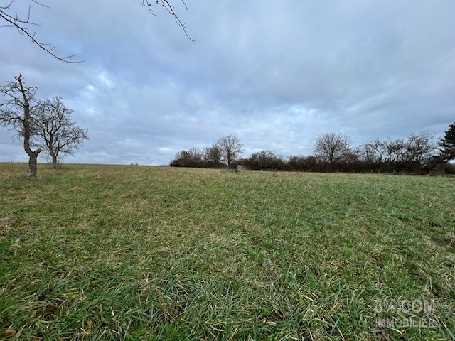 Vente Terrain à Lunéville 0 pièce