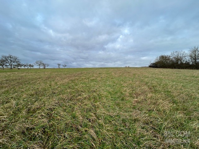 Vente Terrain à Lunéville 0 pièce