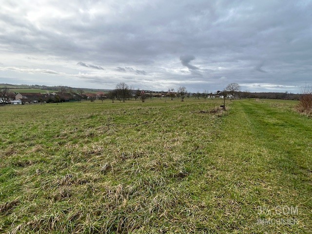 Vente Terrain à Lunéville 0 pièce