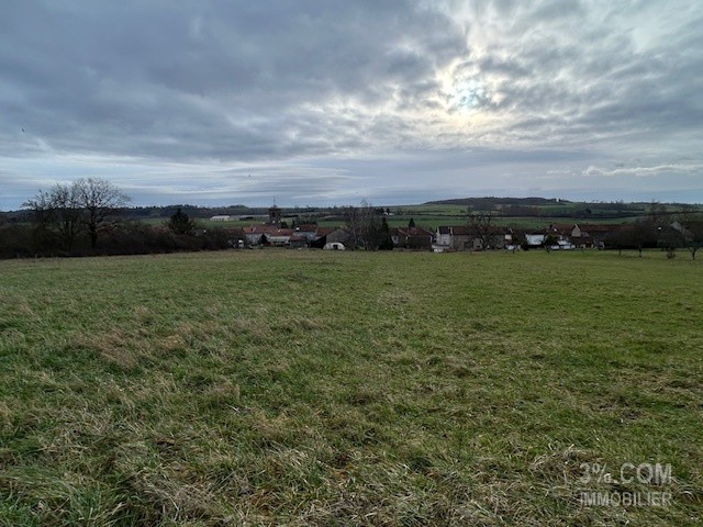 Vente Terrain à Lunéville 0 pièce