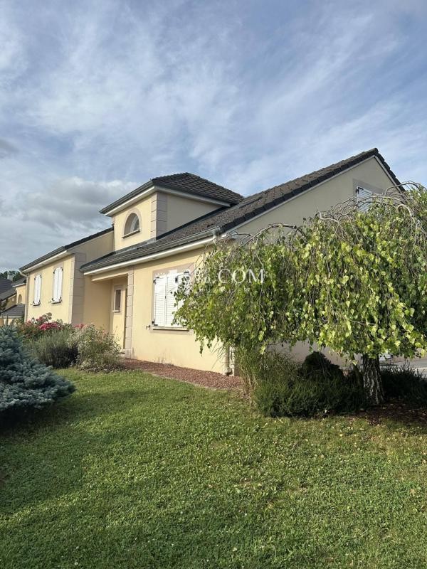 Vente Maison à Dombasle-sur-Meurthe 10 pièces