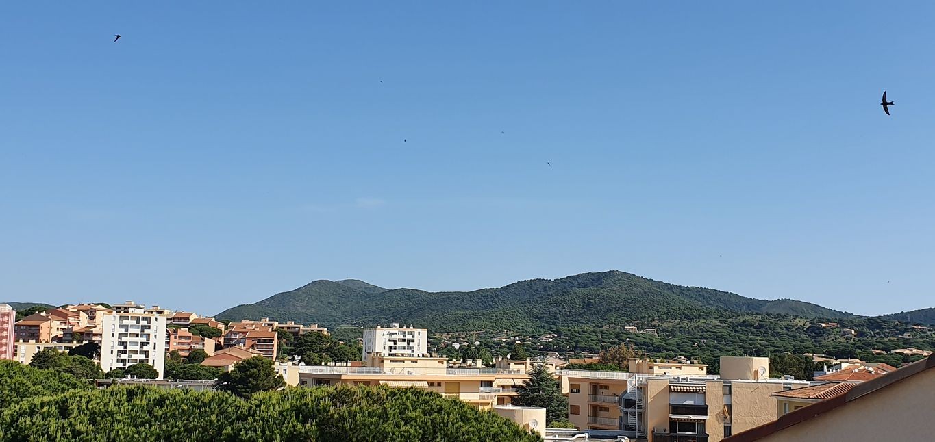 Vente Appartement à Sainte-Maxime 5 pièces