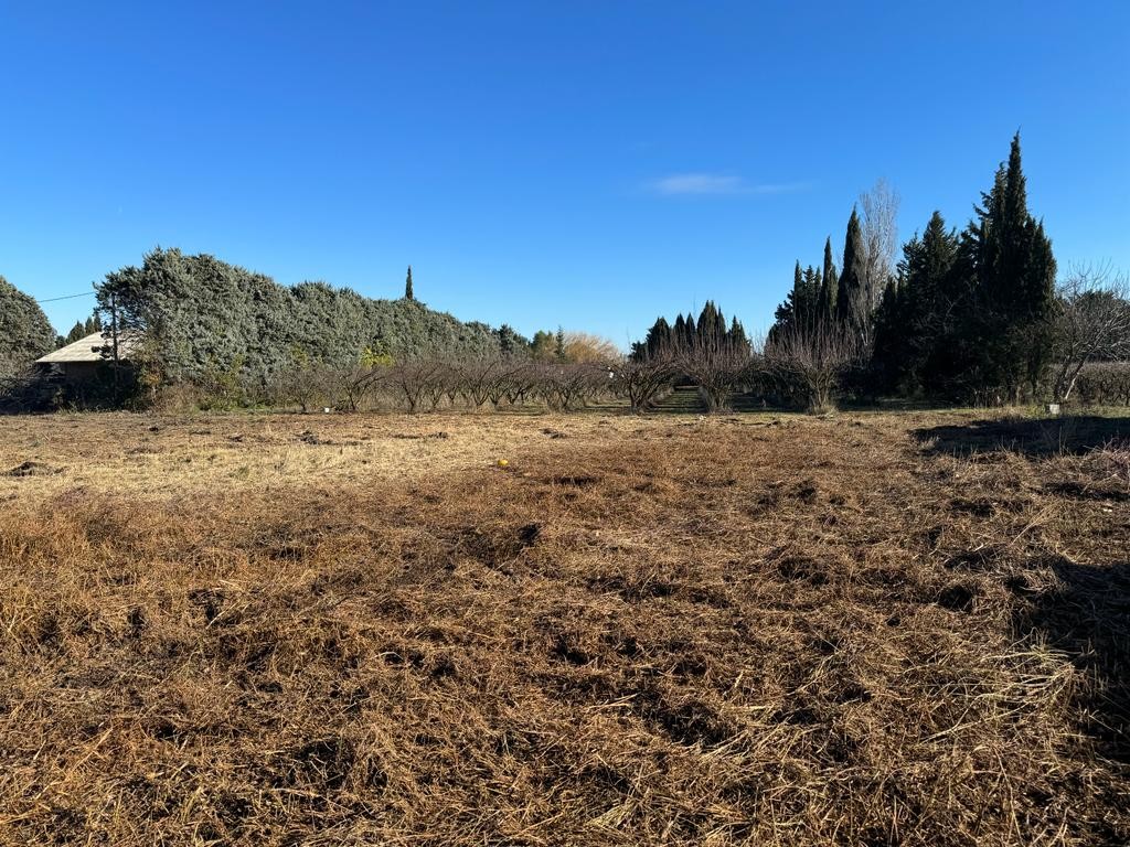 Vente Terrain à Saint-Rémy-de-Provence 0 pièce