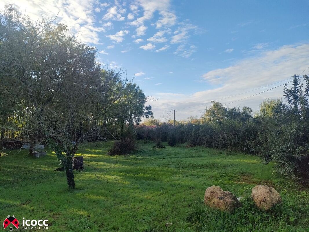 Vente Terrain à Mareuil-sur-Lay-Dissais 0 pièce