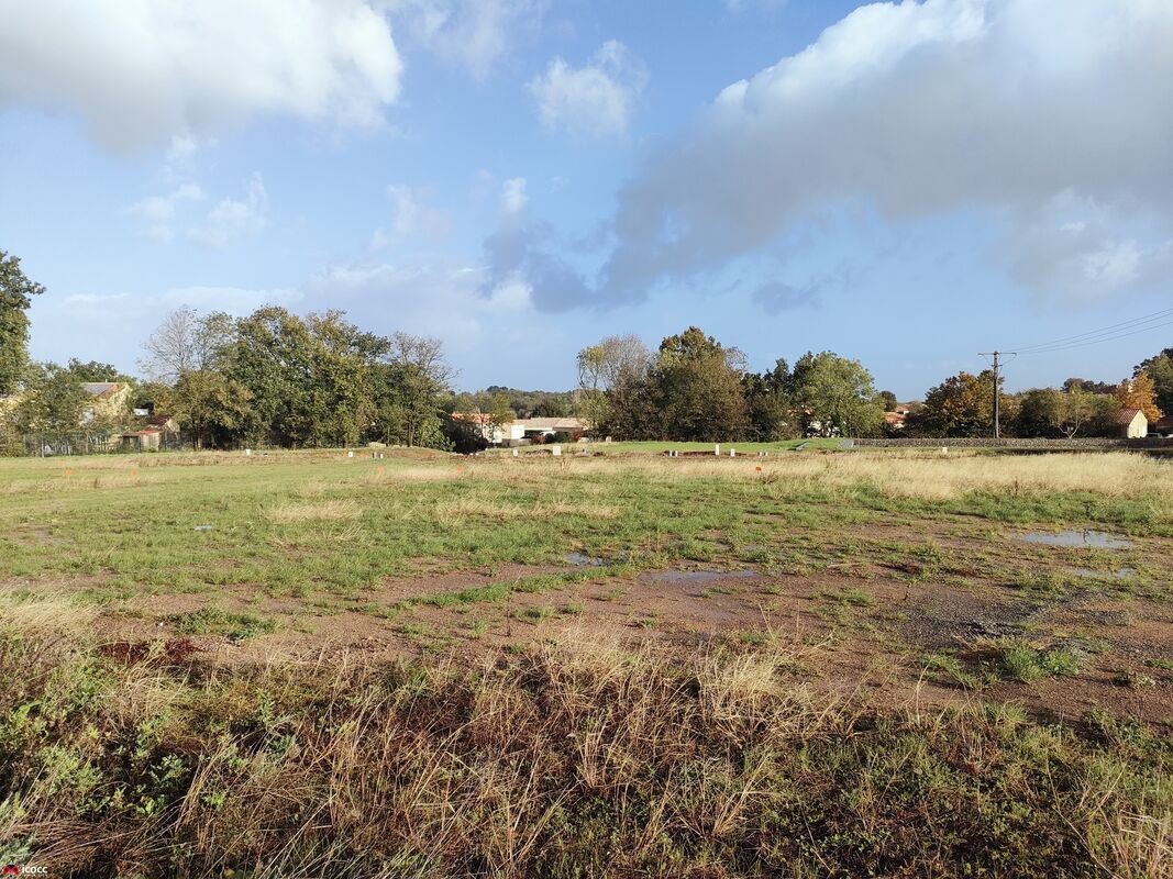 Vente Terrain à Mareuil-sur-Lay-Dissais 0 pièce