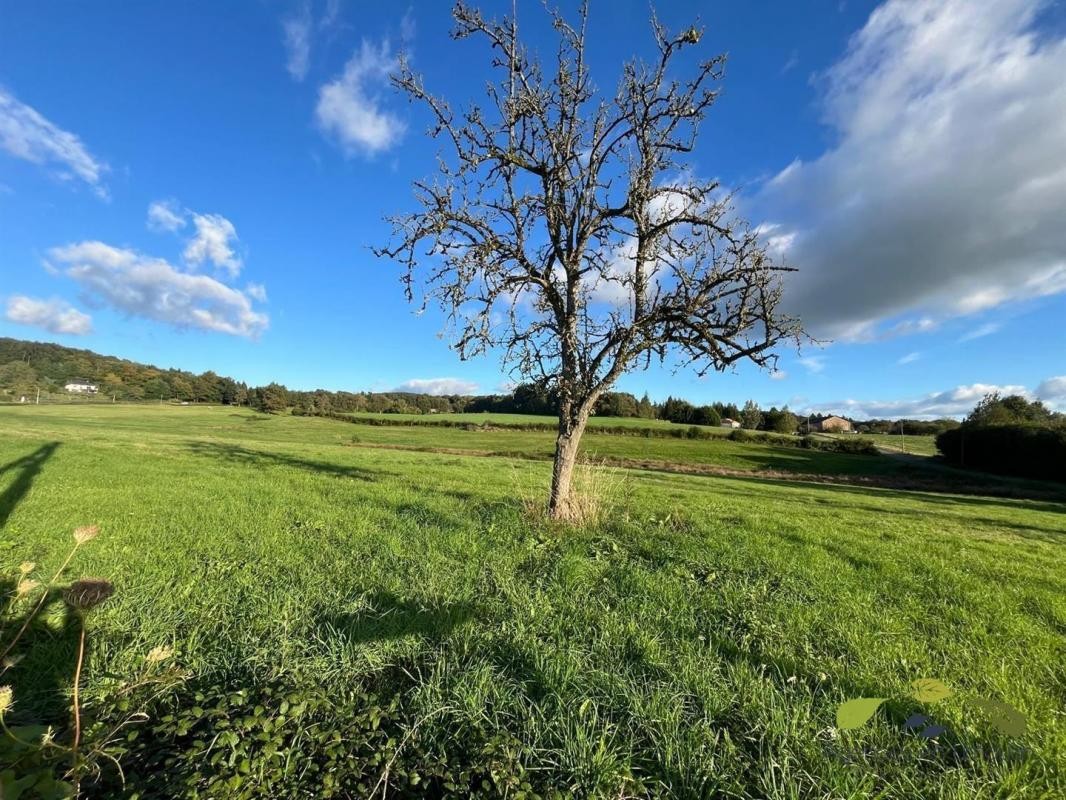 Vente Maison à Saint-Martin-Terressus 5 pièces