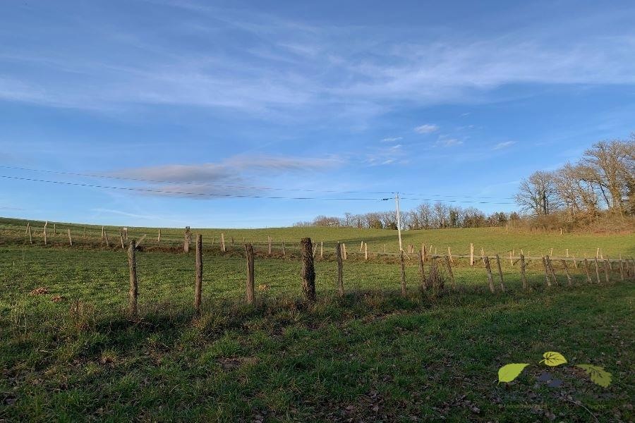 Vente Terrain à Saint-Léonard-de-Noblat 0 pièce