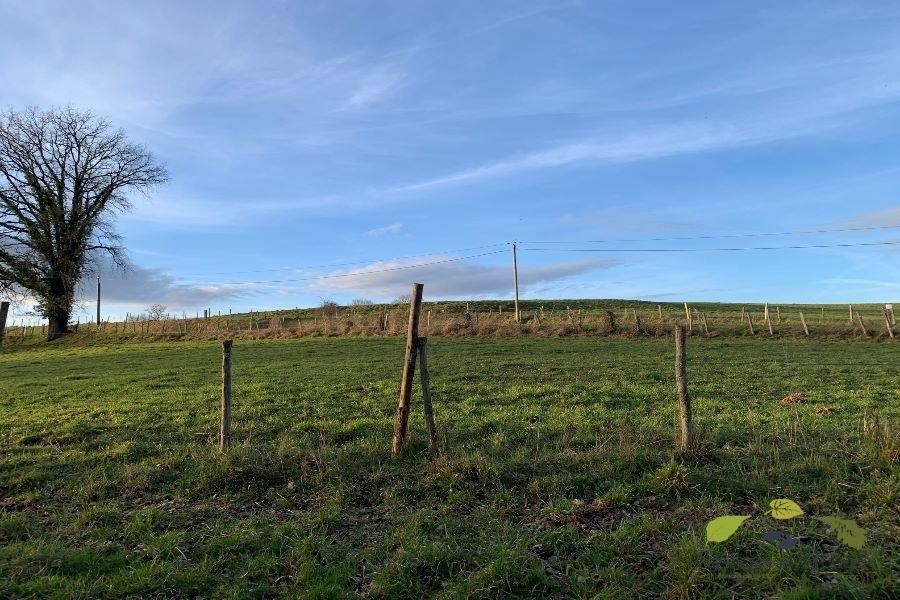 Vente Terrain à Saint-Léonard-de-Noblat 0 pièce