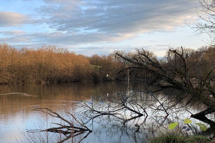 Vente Terrain à Saint-Léonard-de-Noblat 0 pièce