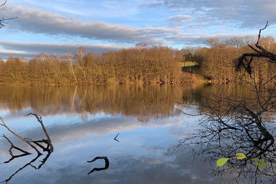 Vente Terrain à Saint-Léonard-de-Noblat 0 pièce