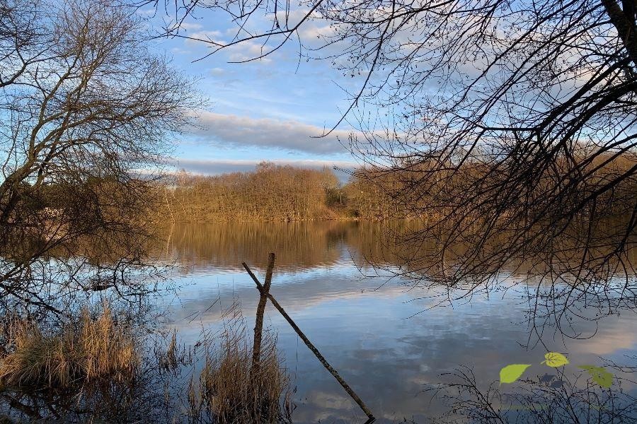 Vente Terrain à Saint-Léonard-de-Noblat 0 pièce